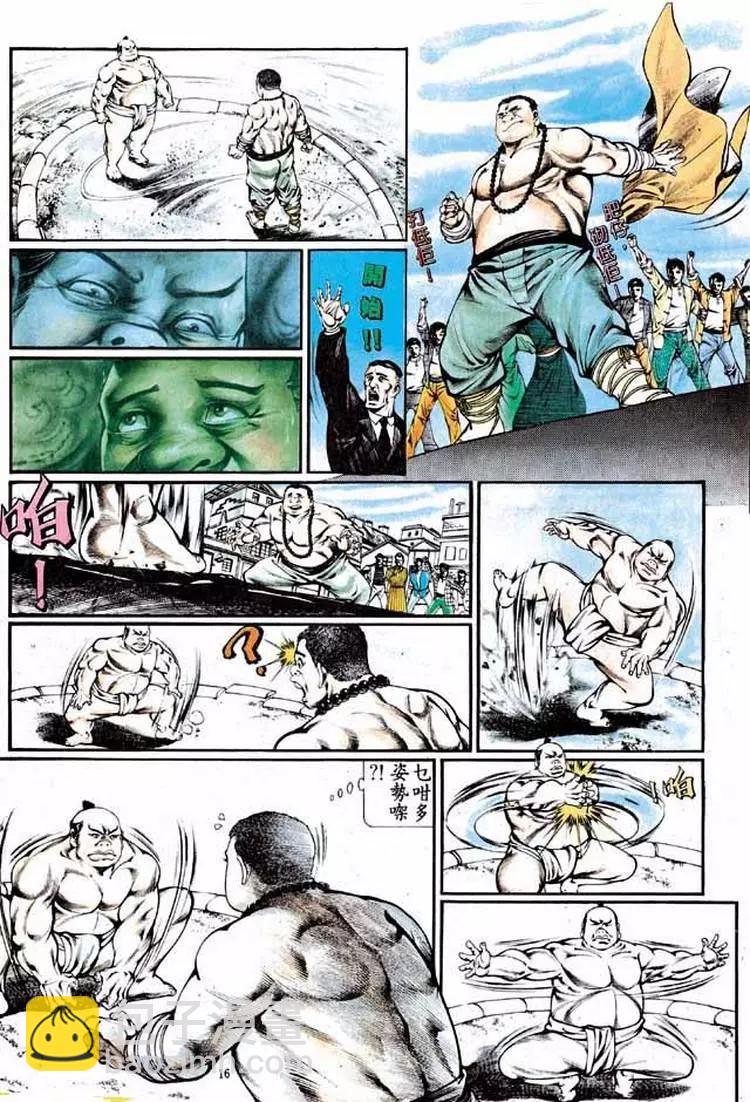 🍴旧著醉拳 第334卷 第16页