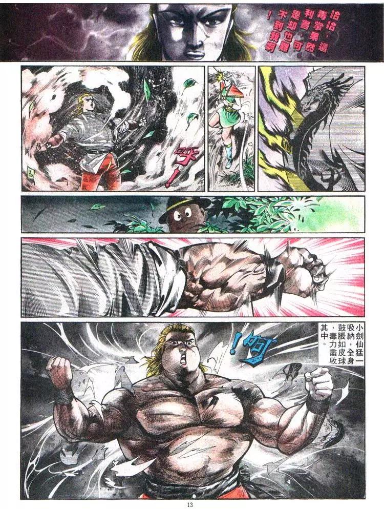 🍴旧著醉拳 第376卷 第13页