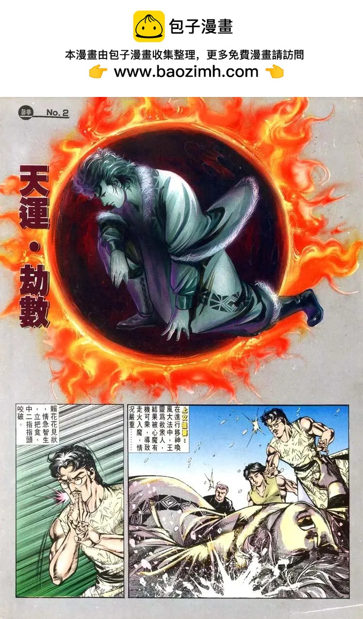 🍴旧著醉拳 第461卷 第2页