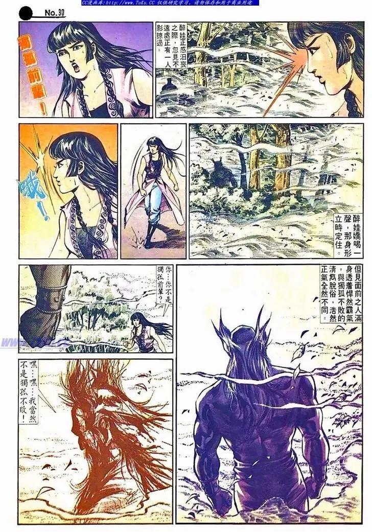 🍴旧著醉拳 第507卷 第30页