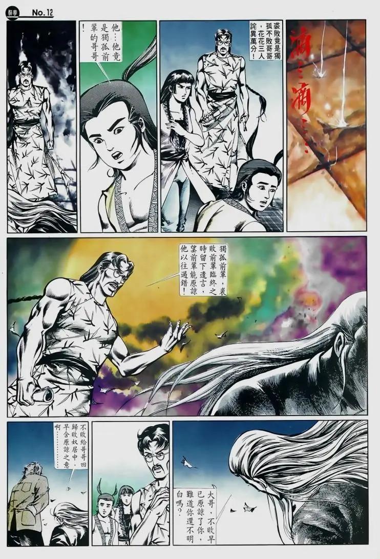 🍴旧著醉拳 第510卷 第12页