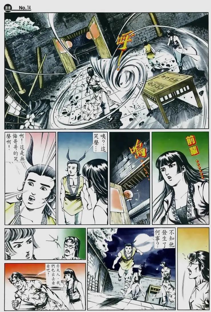 🍴旧著醉拳 第510卷 第14页