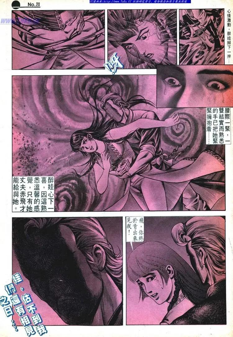 🍴旧著醉拳 第528卷 第20页
