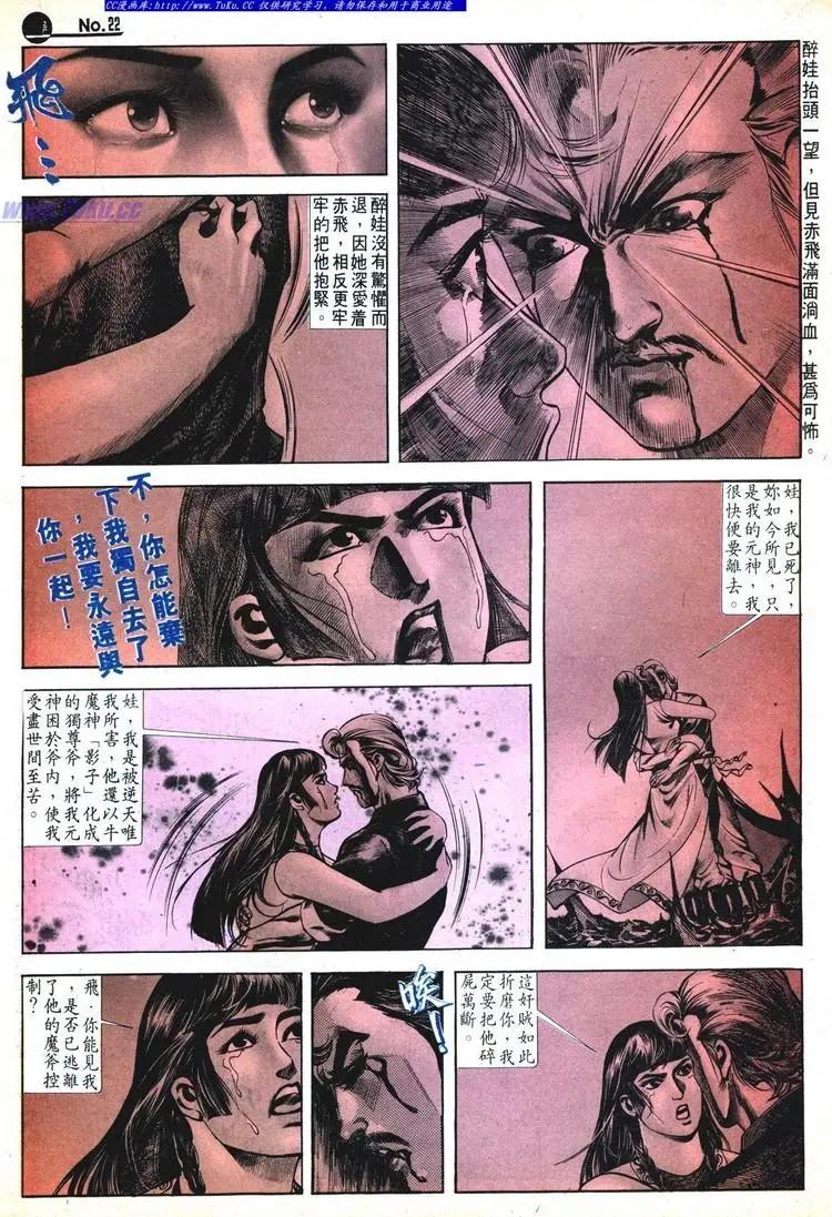 🍴旧著醉拳 第528卷 第22页