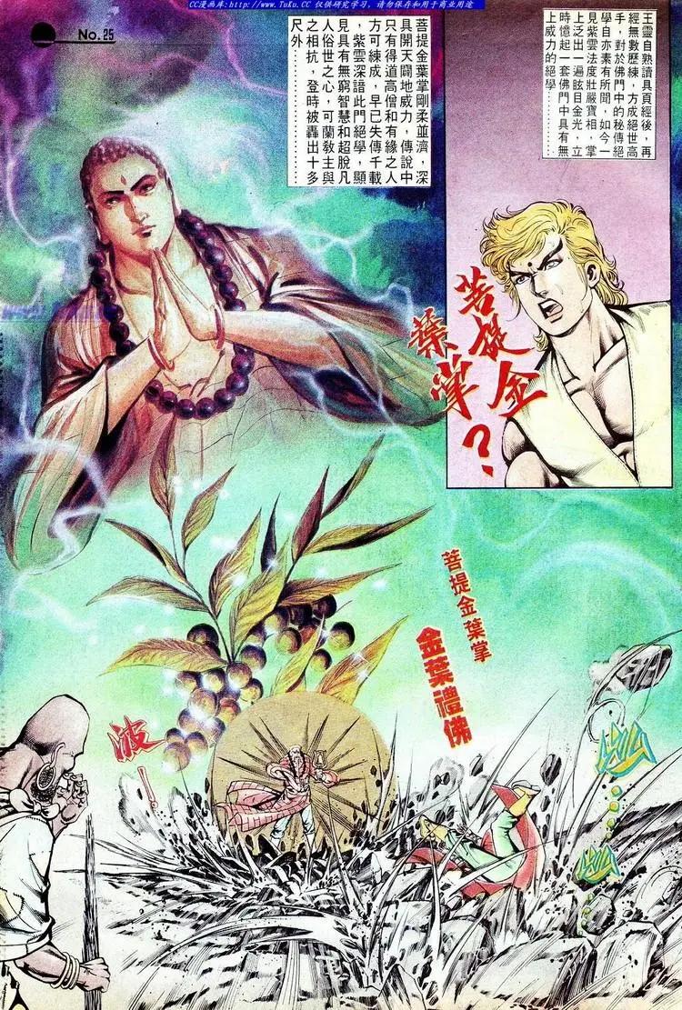 🍴旧著醉拳 第551卷 第25页