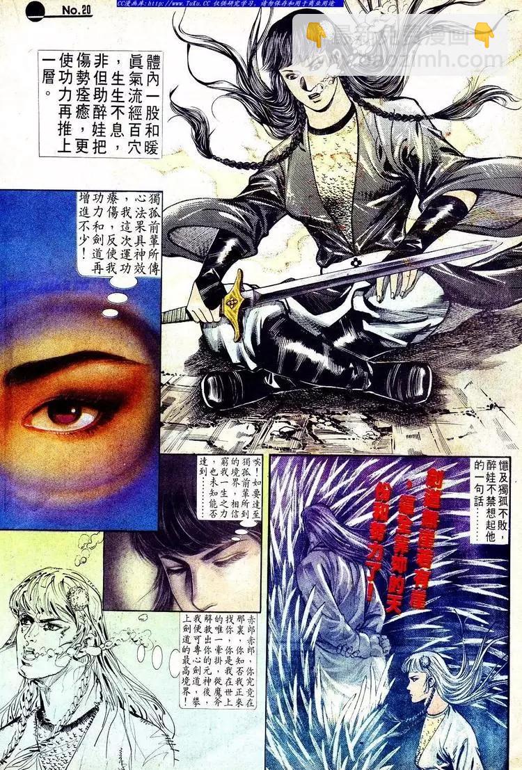 🍴旧著醉拳 第553卷 第20页