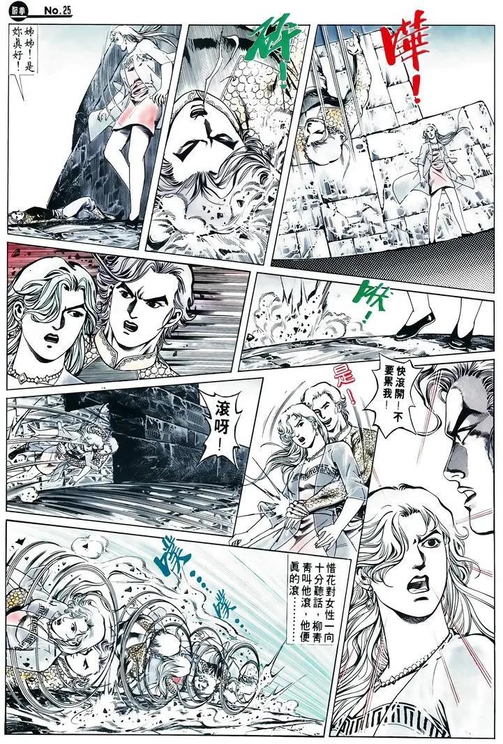 🍴旧著醉拳 第605卷 第25页