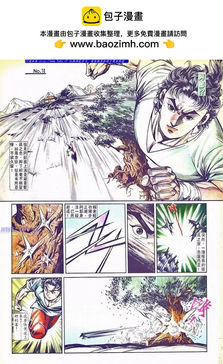🍴旧著醉拳 第733卷 第10页