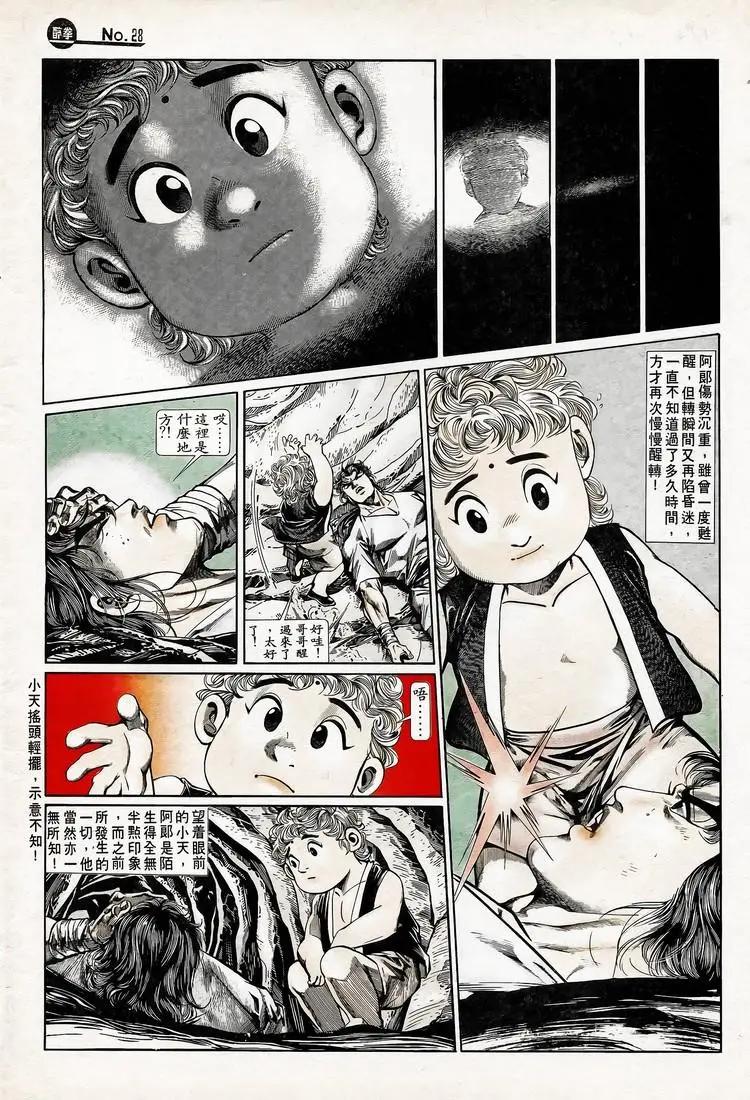 🍴旧著醉拳 第745卷 第28页