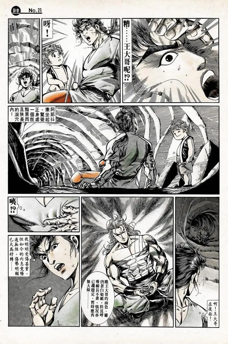 🍴旧著醉拳 第745卷 第29页