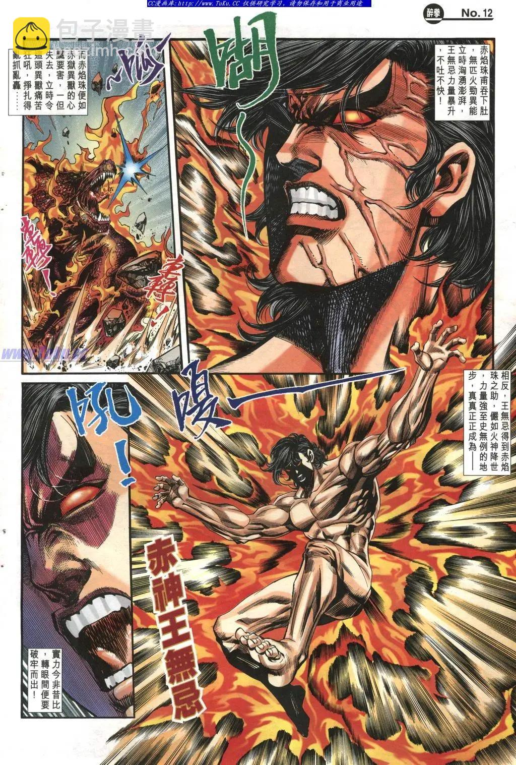 🍴旧著醉拳 第974卷 第12页