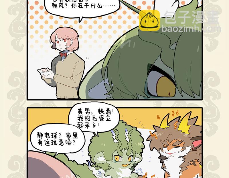 🍴九子不成龙 狮虎当道 毛球成灾 第7页