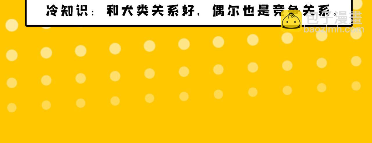 🍴九子不成龙 驱驰负重终有成 身轻神逸行如风 第15页