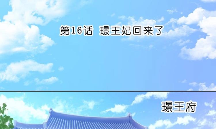 第16话 璟王妃回来了(1/2)-第16话