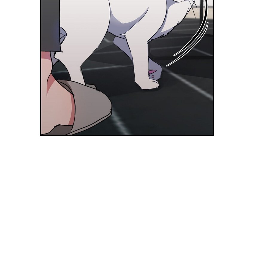 36 你在监视我吗？(1/2)-第36话