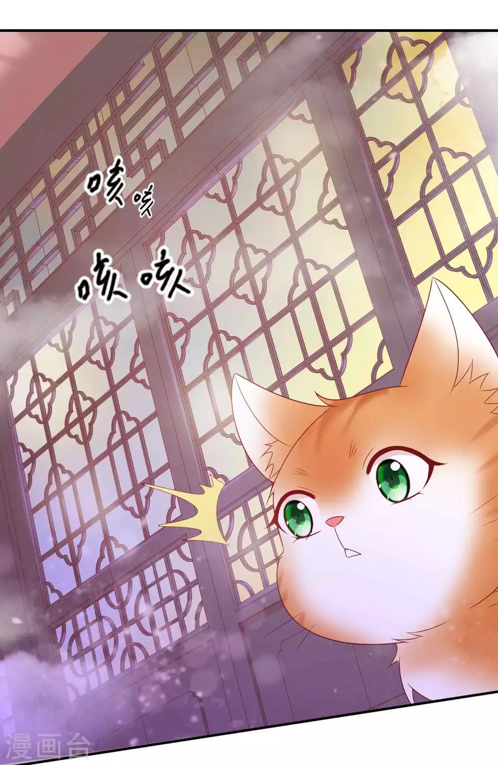 第120话 北洱喵喵有危险-第130话