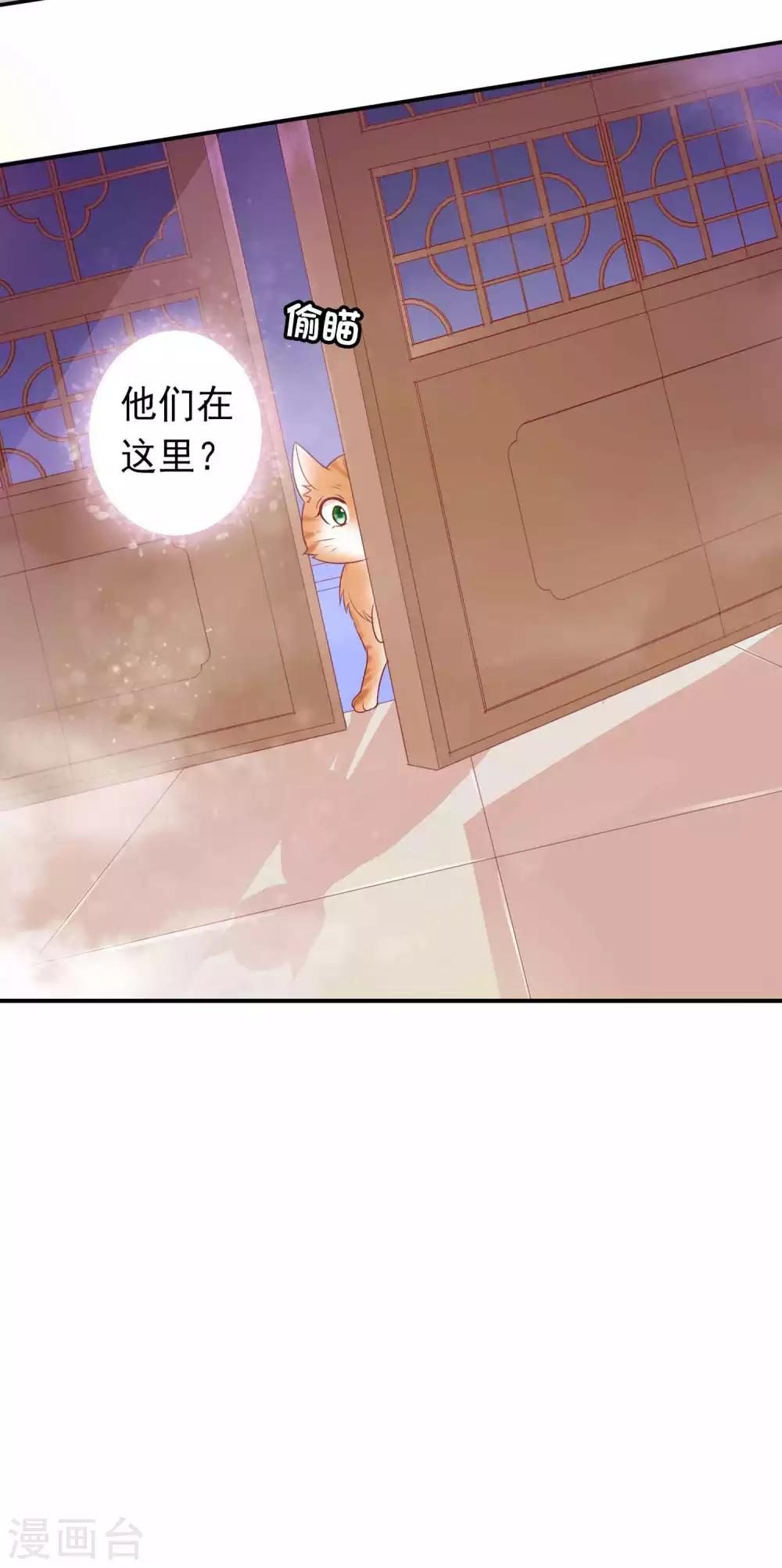 第120话 北洱喵喵有危险-第130话