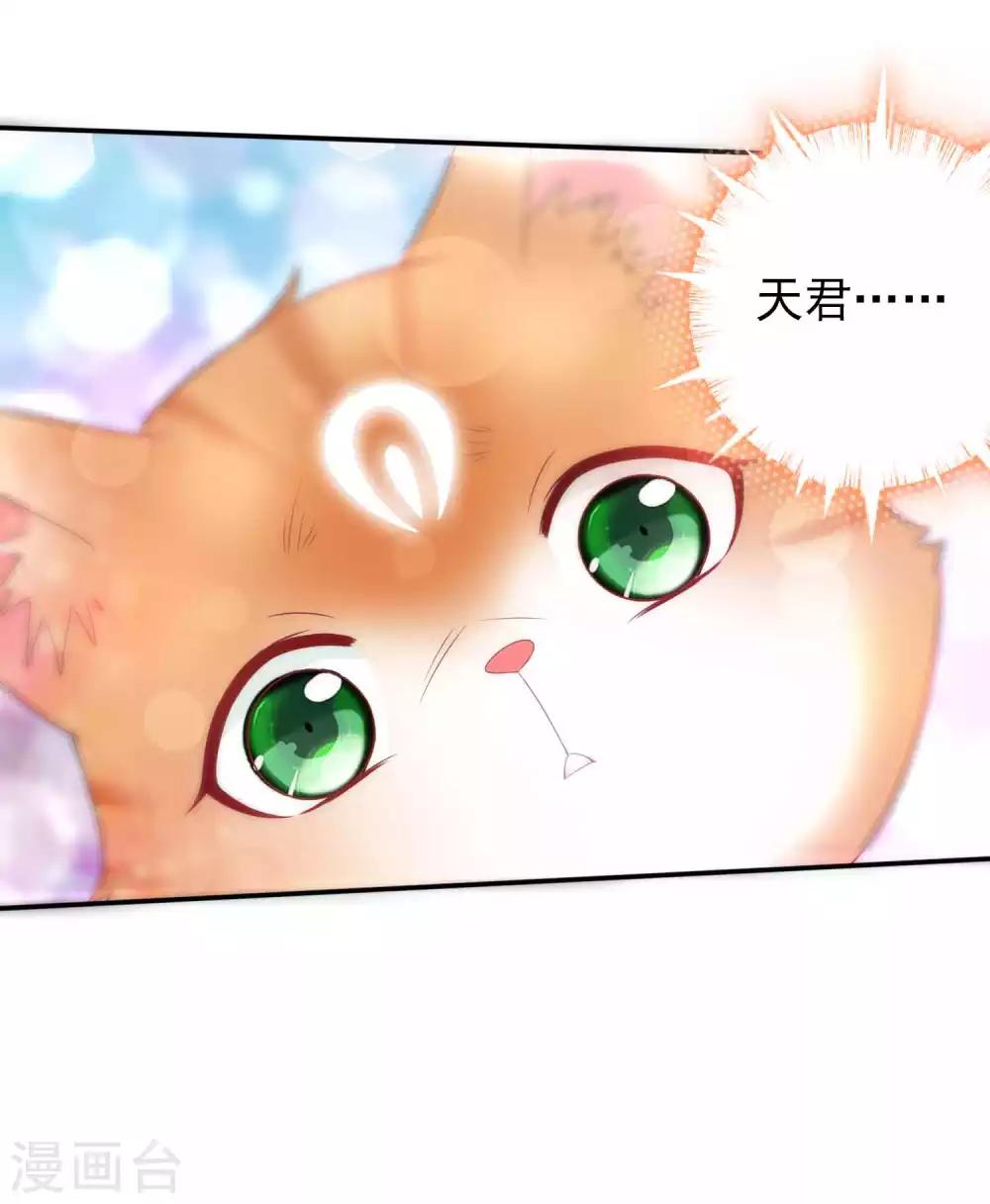 第120话 北洱喵喵有危险-第130话