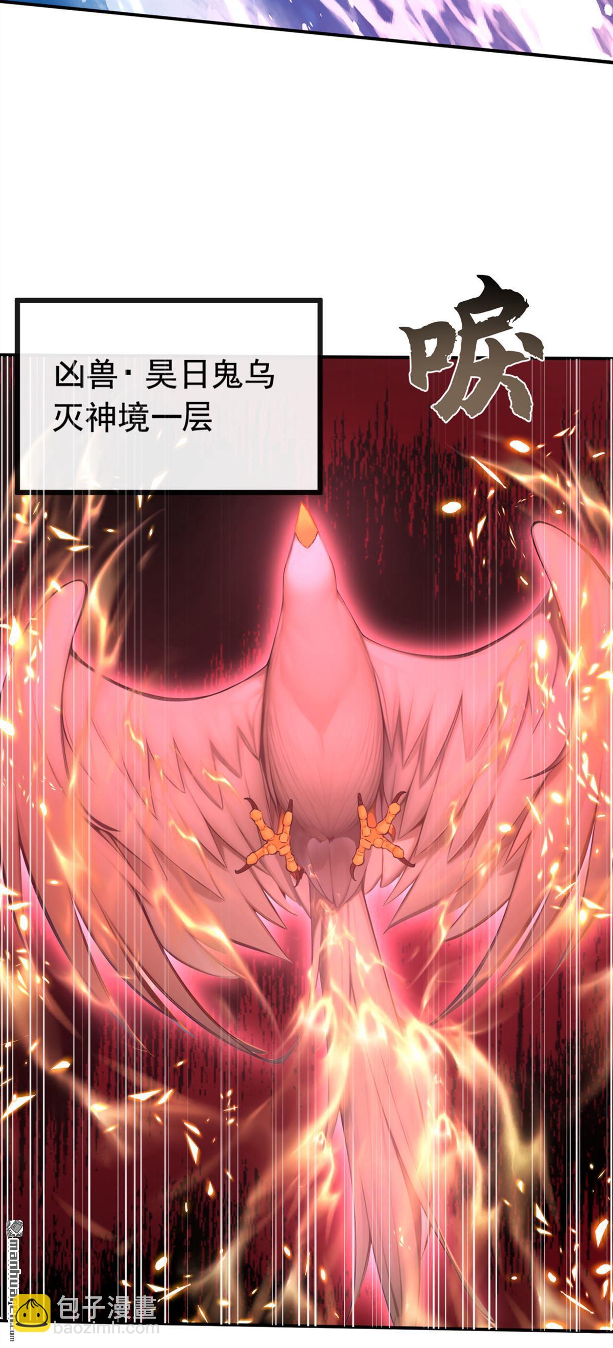 第216回 秘宝出世？！-第216话