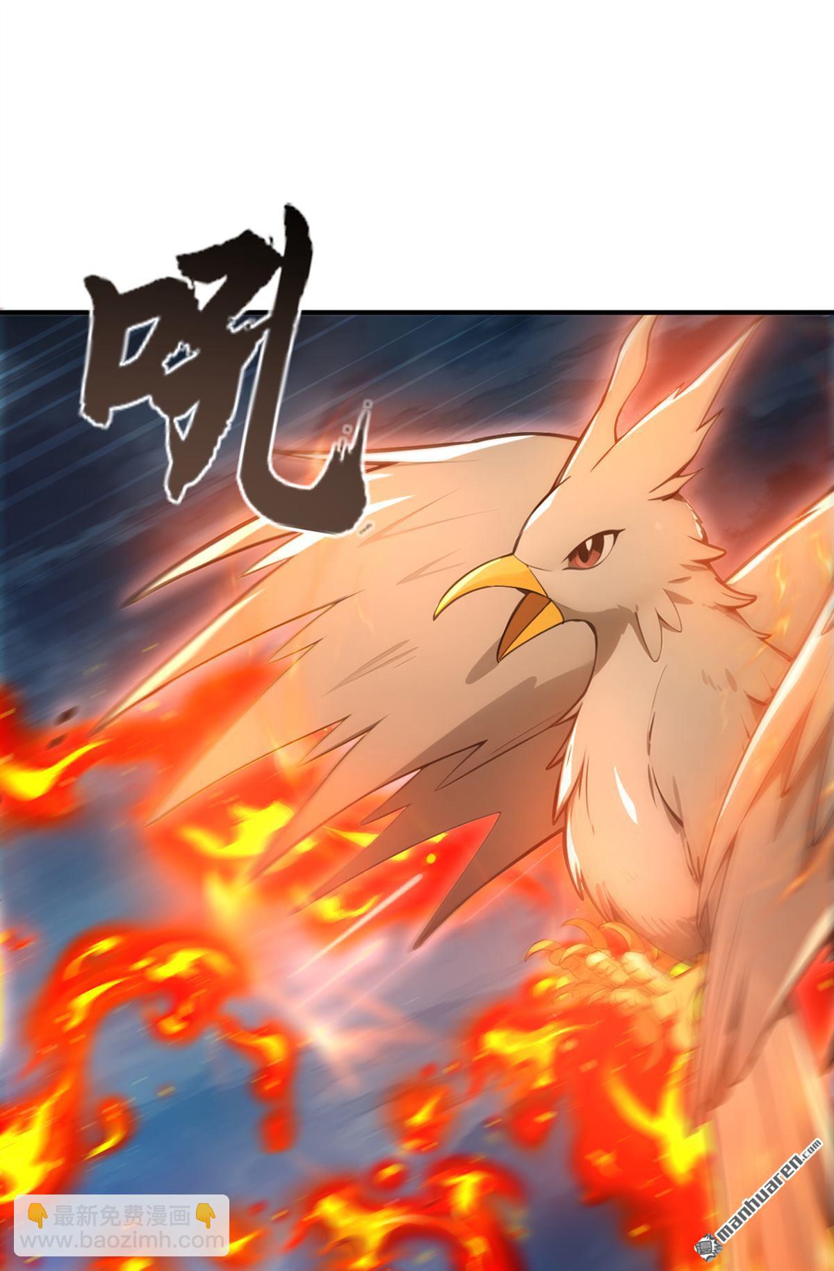 第216回 秘宝出世？！-第216话