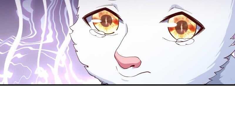 第146话 胆敢欺负我的狗(1/2)-第146话