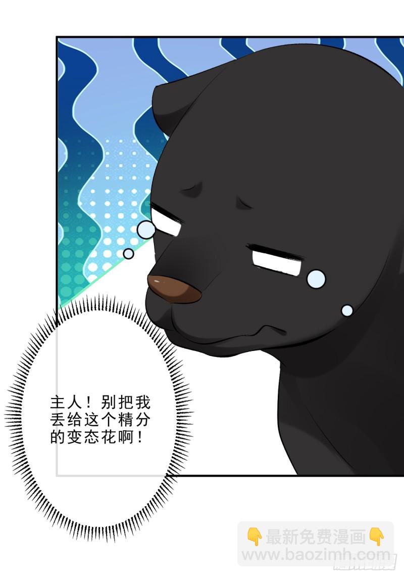 第47话 我自己护得住-第48话