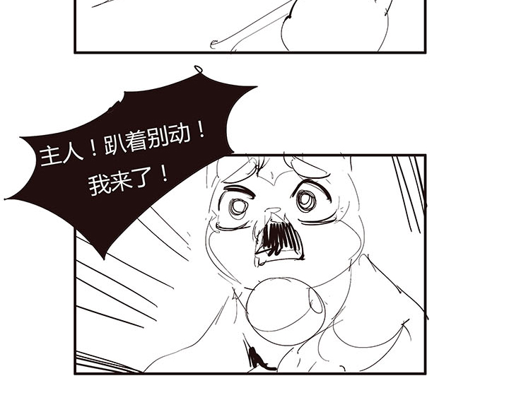 禽兽们的生活-第44话