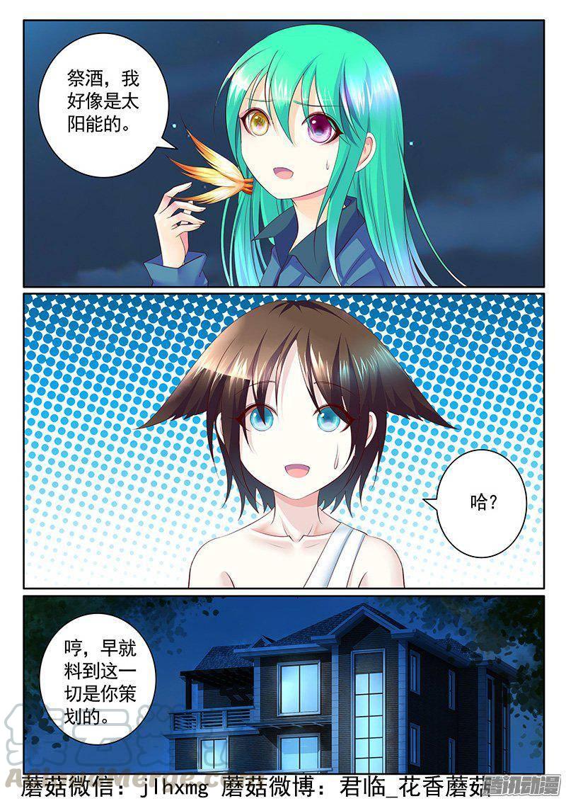 🍴君临臣下 第408集 丕植上线 第1页
