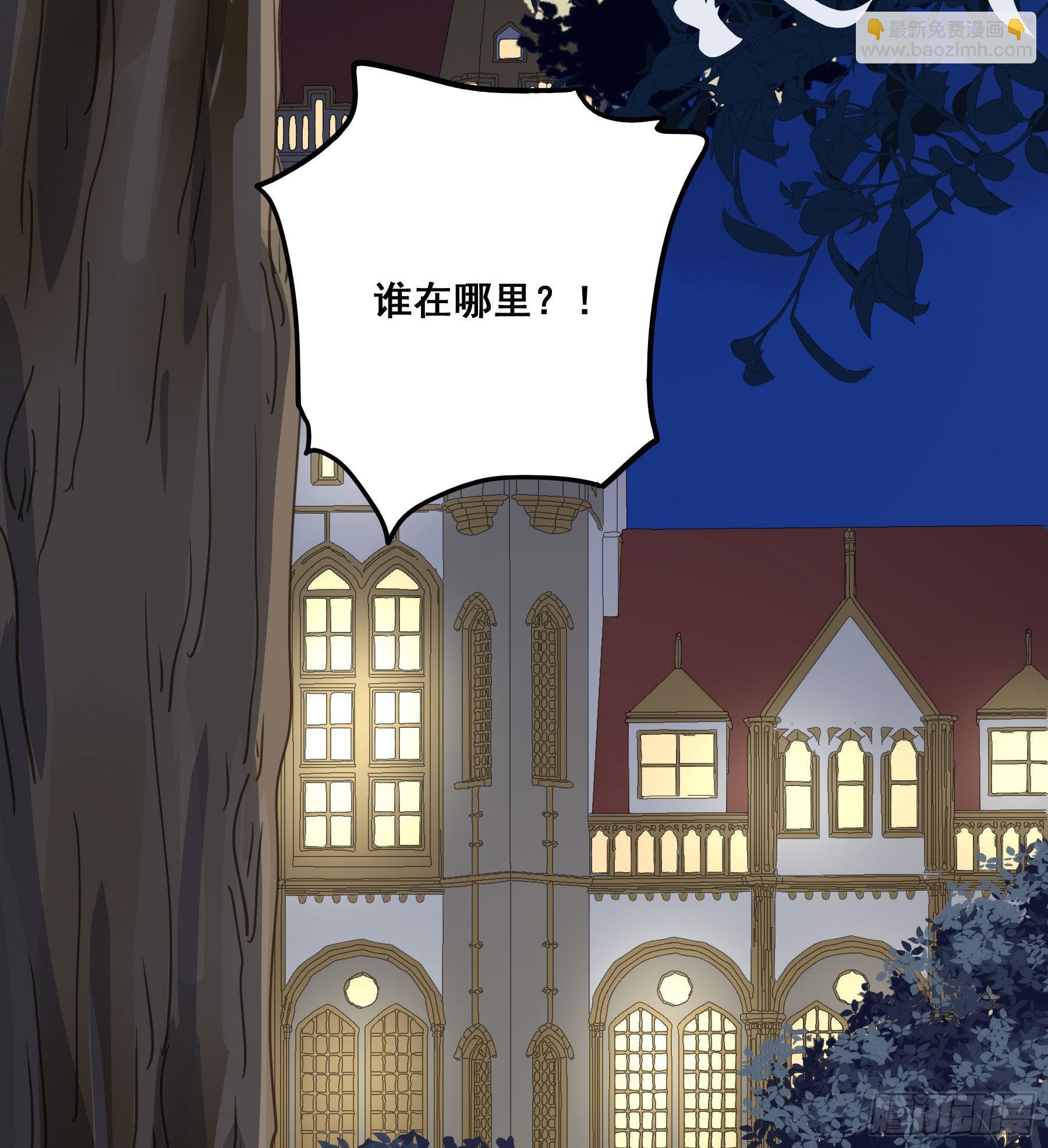 跟踪(1/2)-第100话