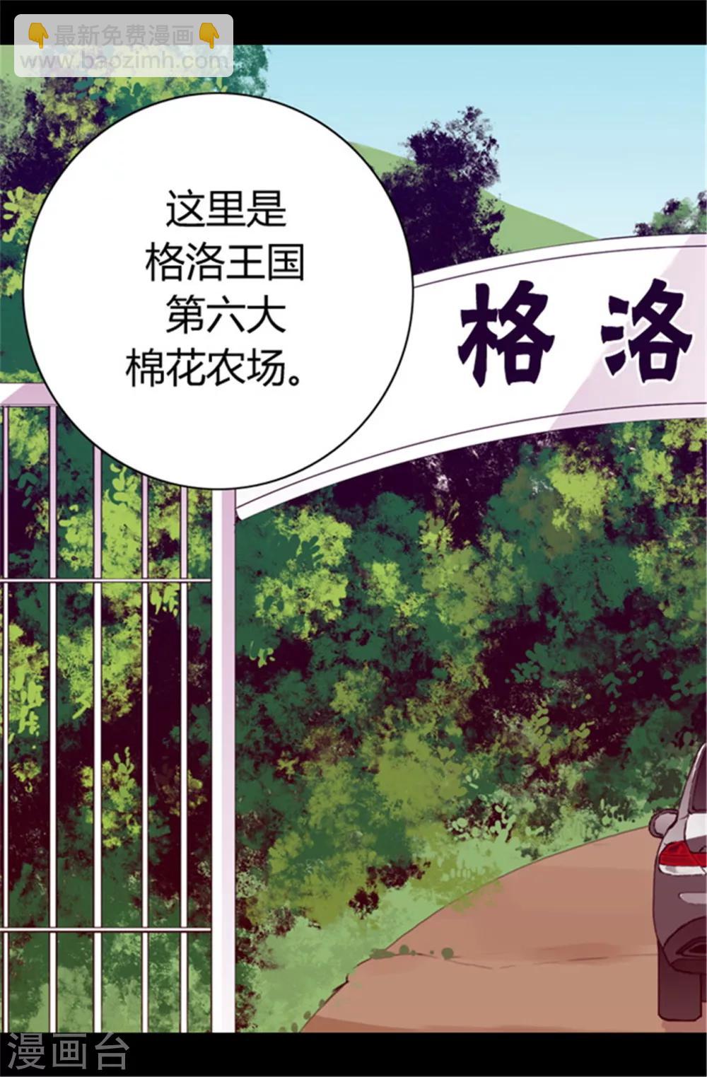 🍴据说我是王的女儿 第50话 棉花农场的意外收获 第10页