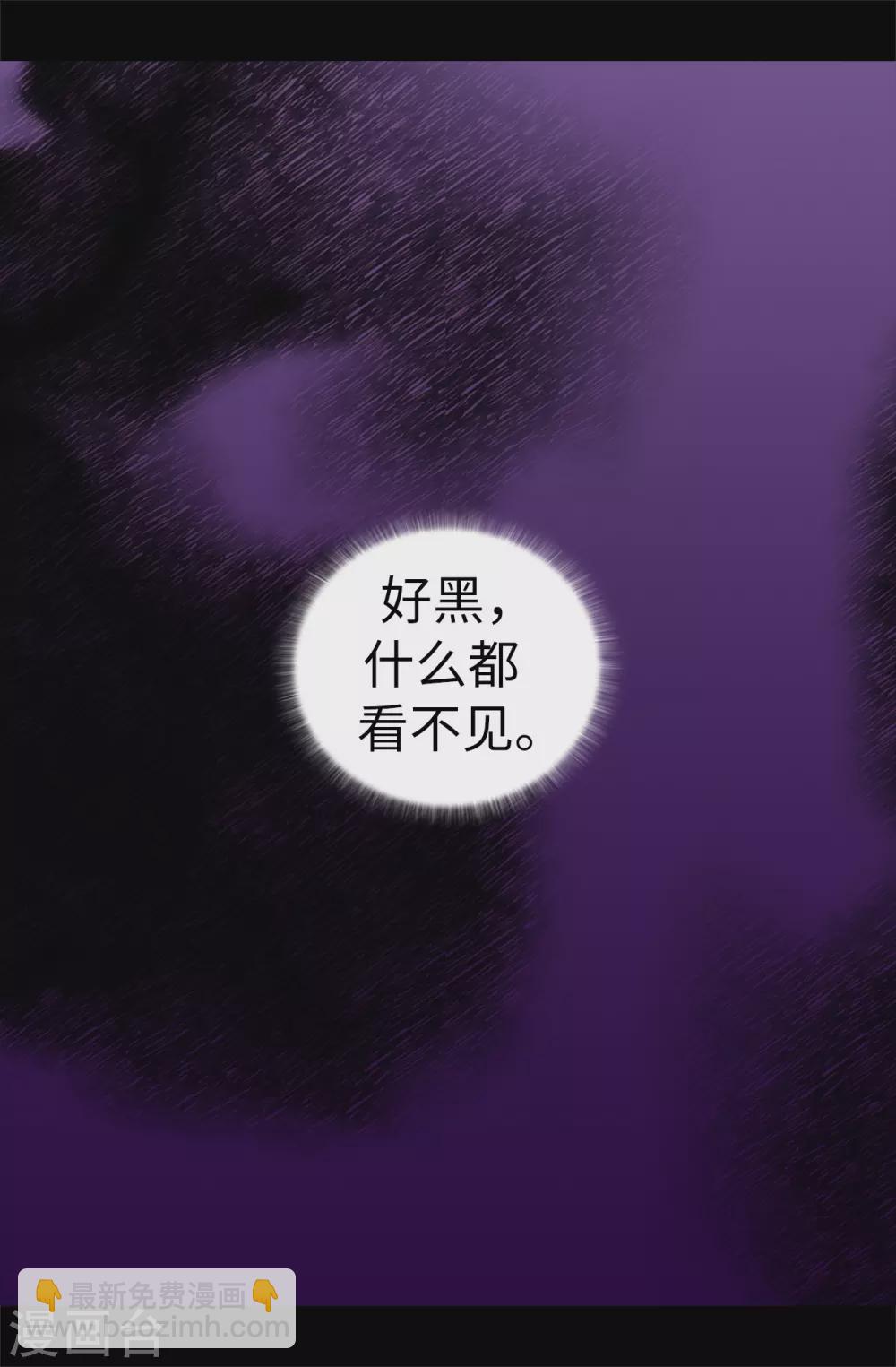 🍴据说我是王的女儿 第591话 这不是你该插手的地方 第11页