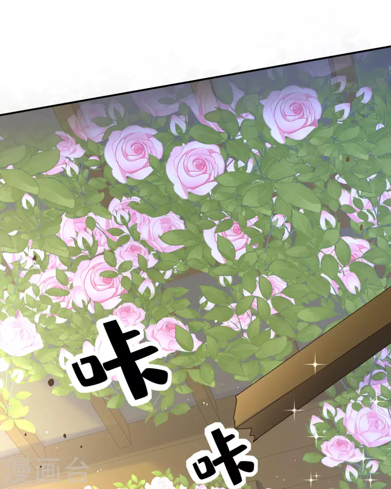 第14话 你比木屋重要(1/2)-第14话