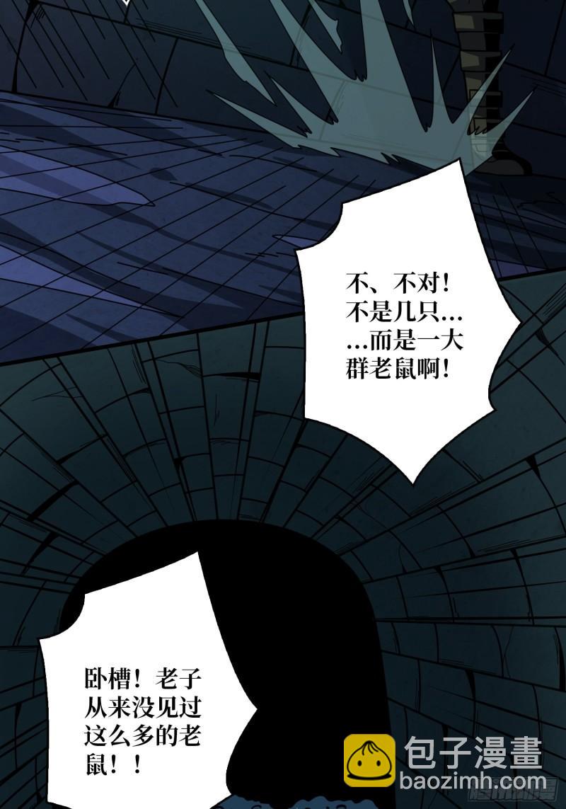 🍕开局就有王者账号 下水道的鼠鼠 第19页