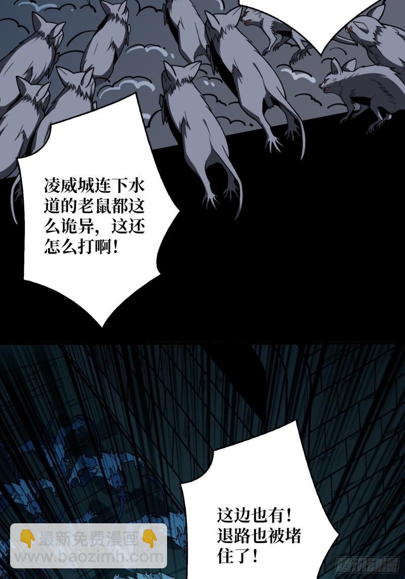 🍕开局就有王者账号 下水道的鼠鼠 第23页