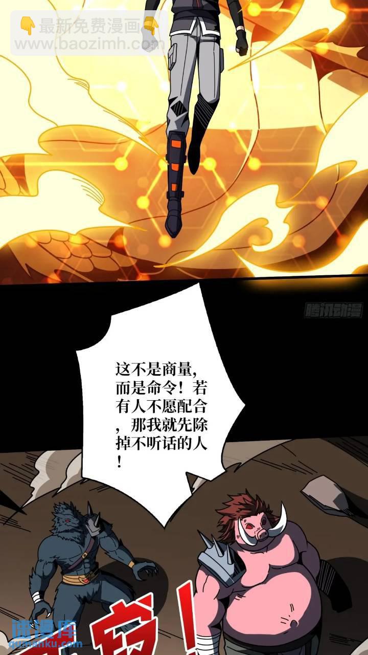 🍕开局就有王者账号 空战不死鸟 第17页
