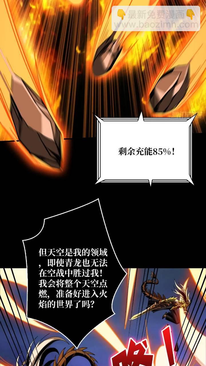 🍕开局就有王者账号 空战不死鸟 第40页
