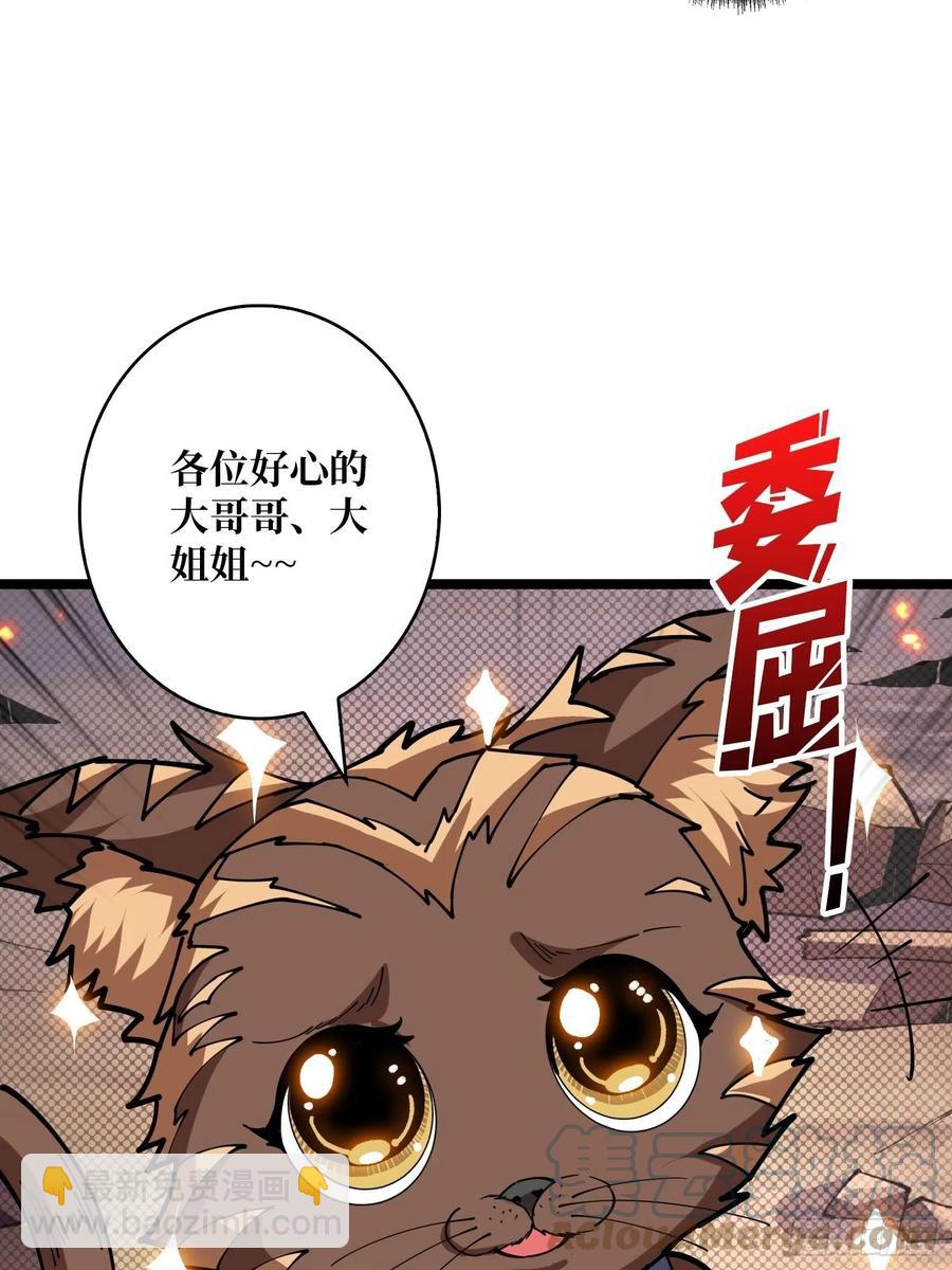 🍕开局就有王者账号 猎手与猎物 第10页