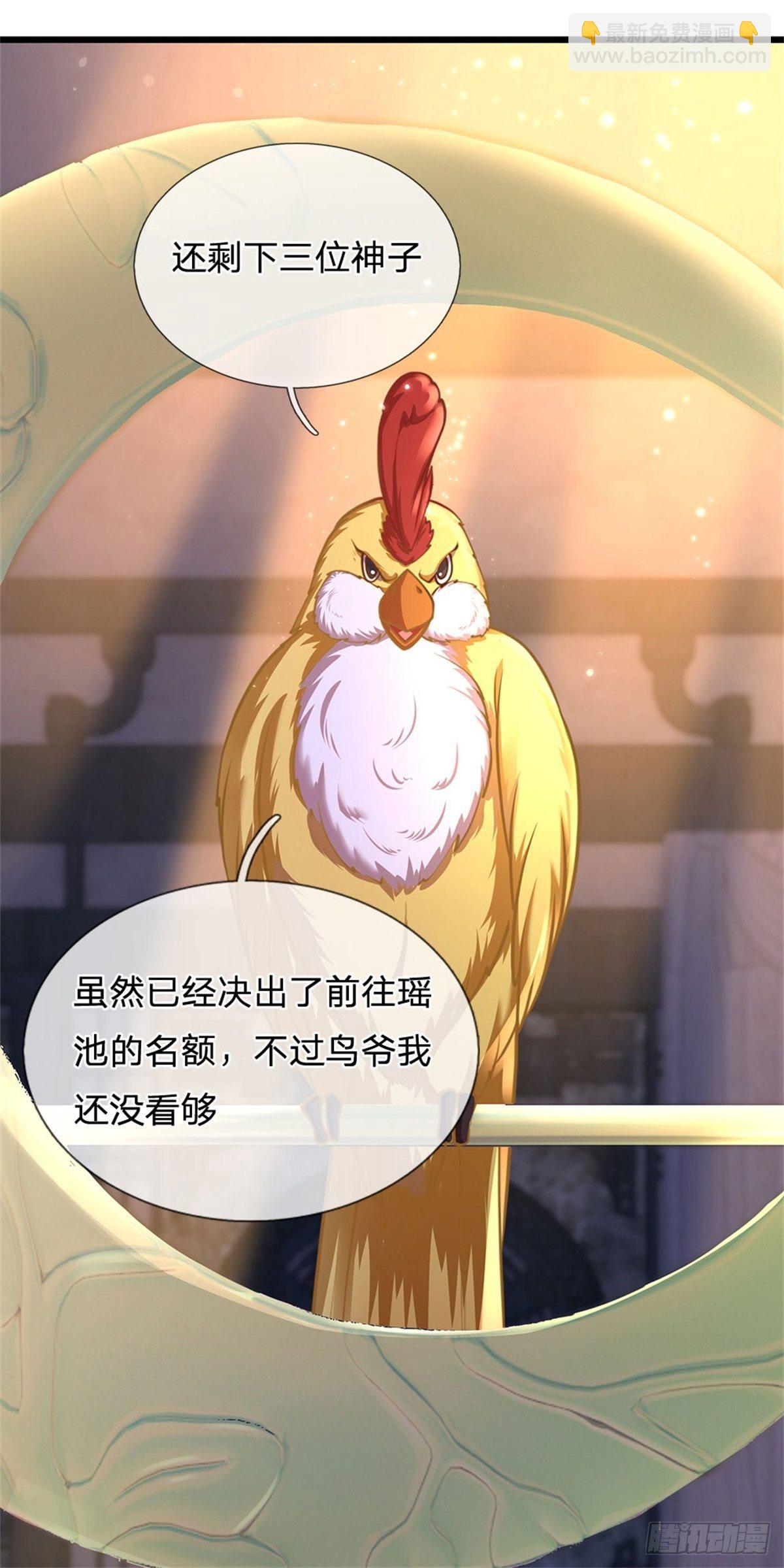 第35话 鸟爷我还没看够-第36话