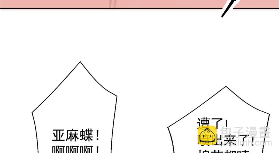 第113话 娘子的白色长裙~(1/4)-第114话