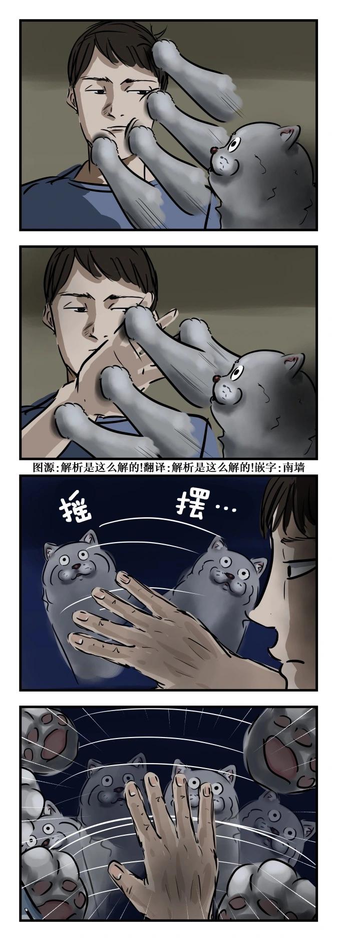 🍕カコミスル老师四格合集 左右摇摆的猫 第1页