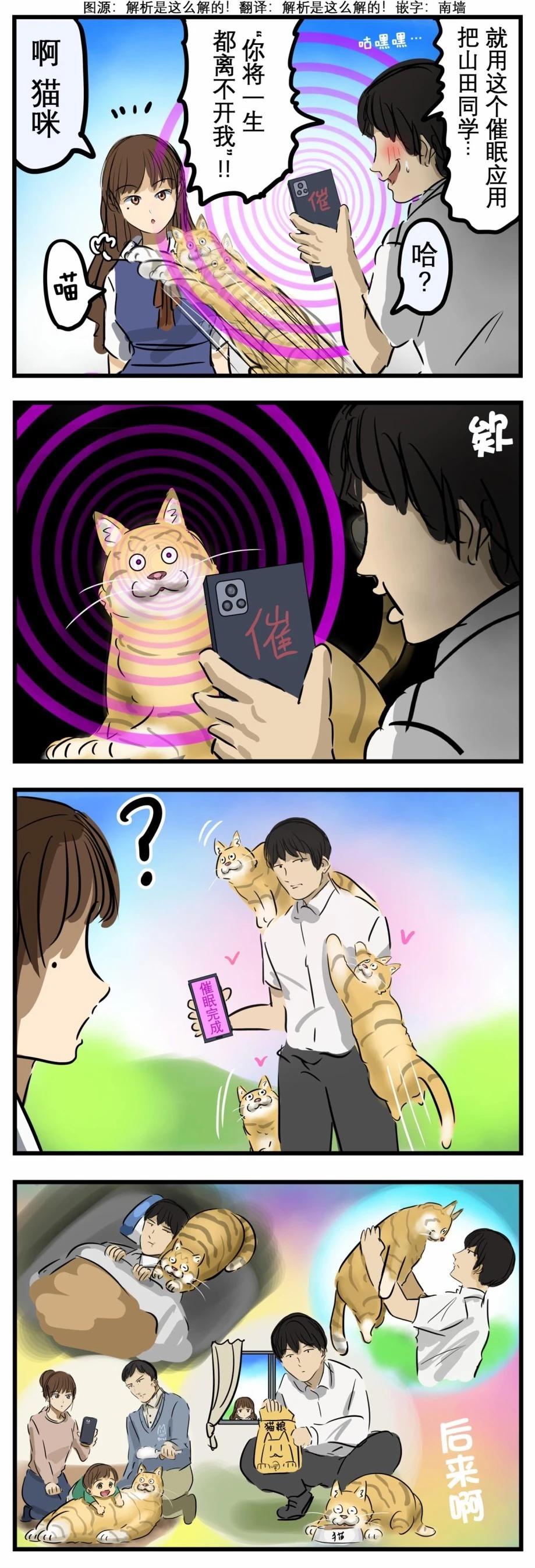 🍕カコミスル老师四格合集 猫咪防御 第1页