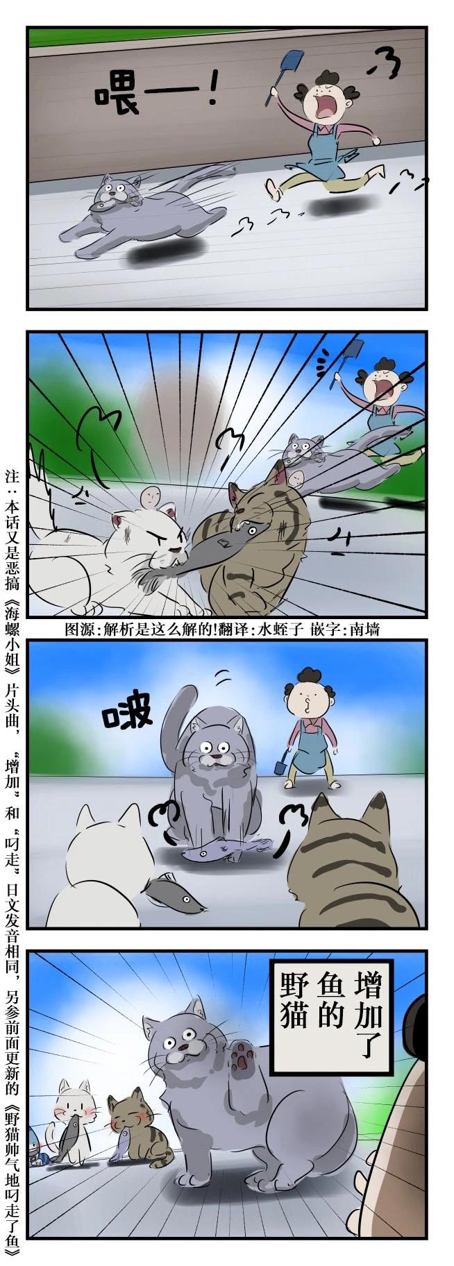 🍕カコミスル老师四格合集 野猫 第1页