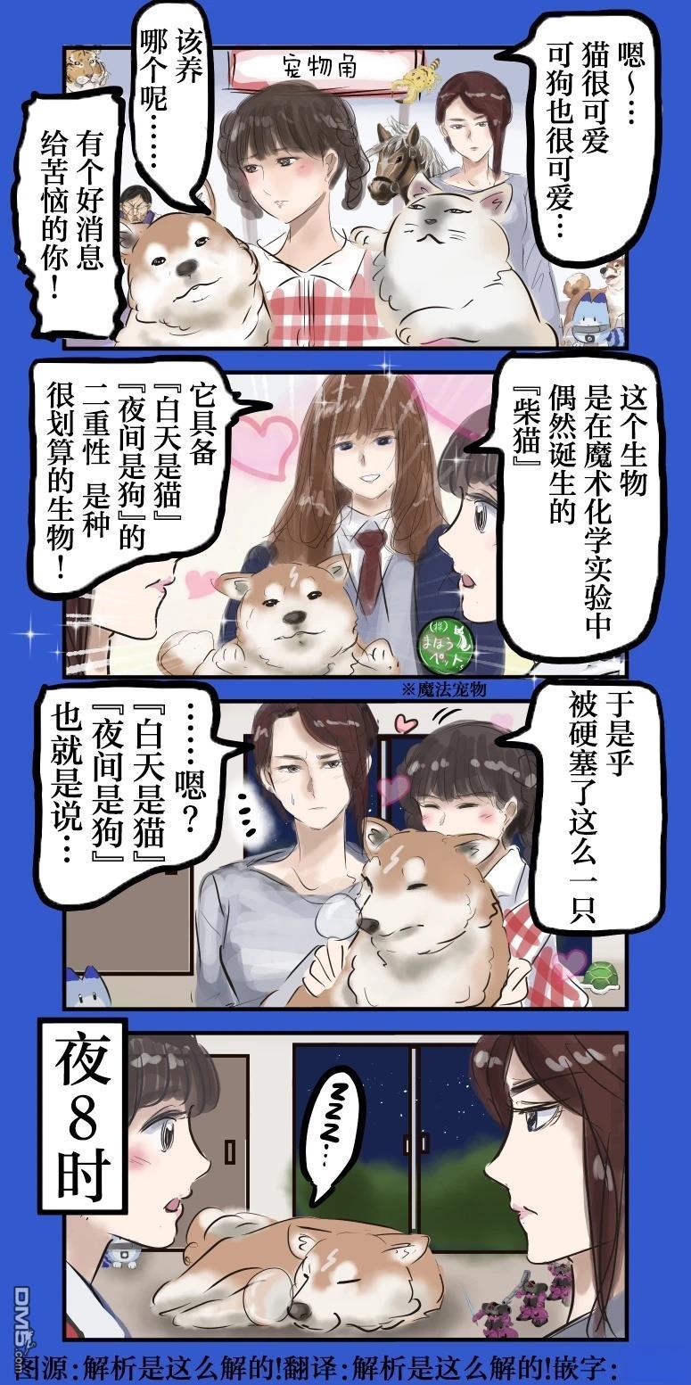 🍕カコミスル老师四格合集 白天是猫，夜间是狗 第1页