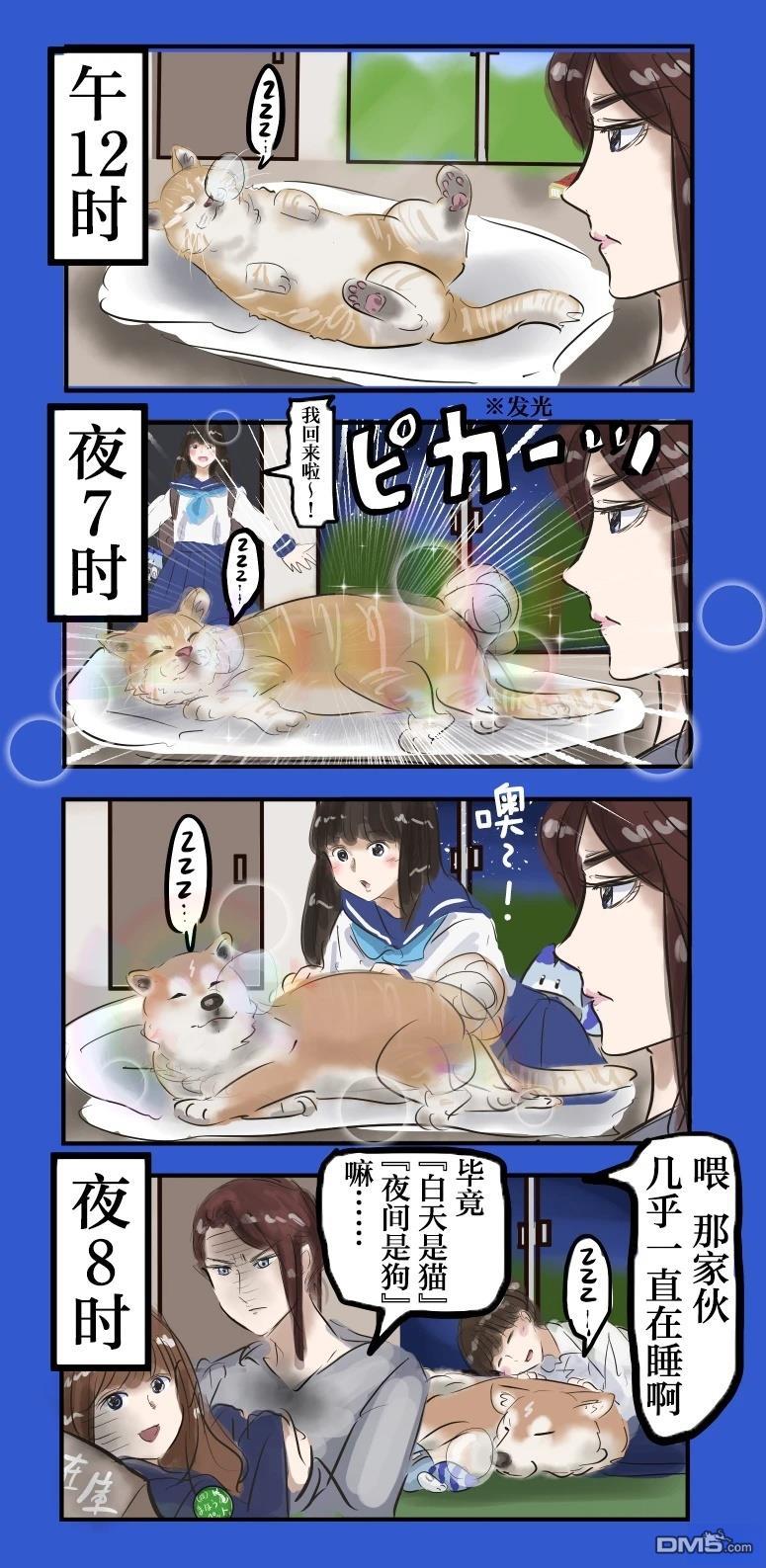 🍕カコミスル老师四格合集 白天是猫，夜间是狗 第3页