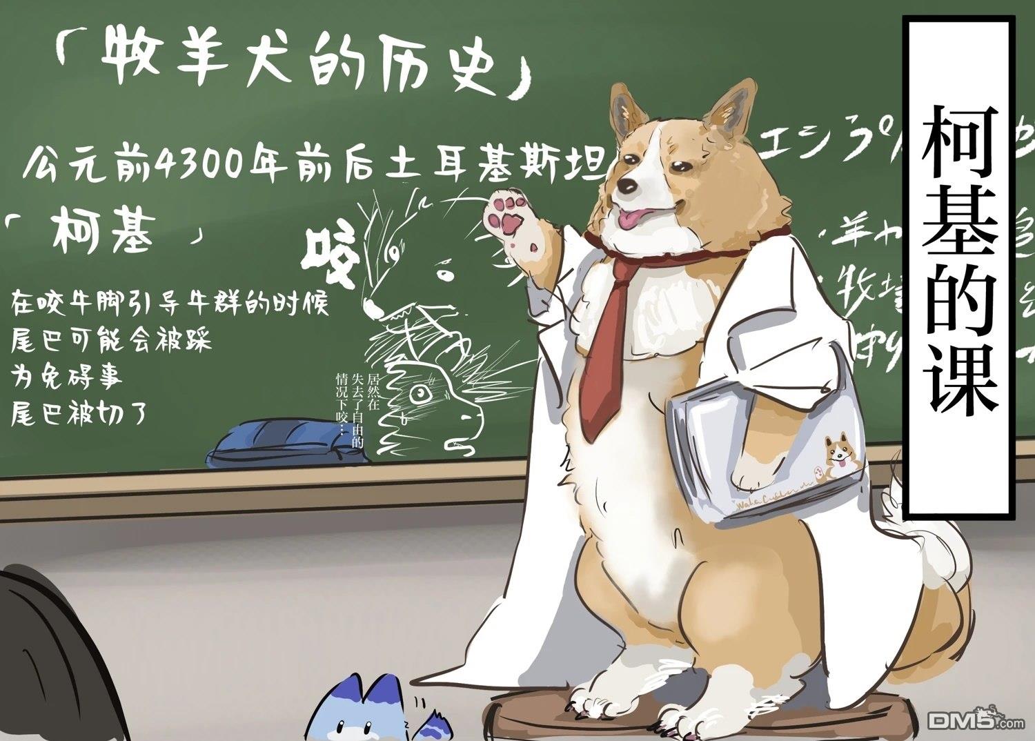 🍕カコミスル老师四格合集 柯基的课 第1页