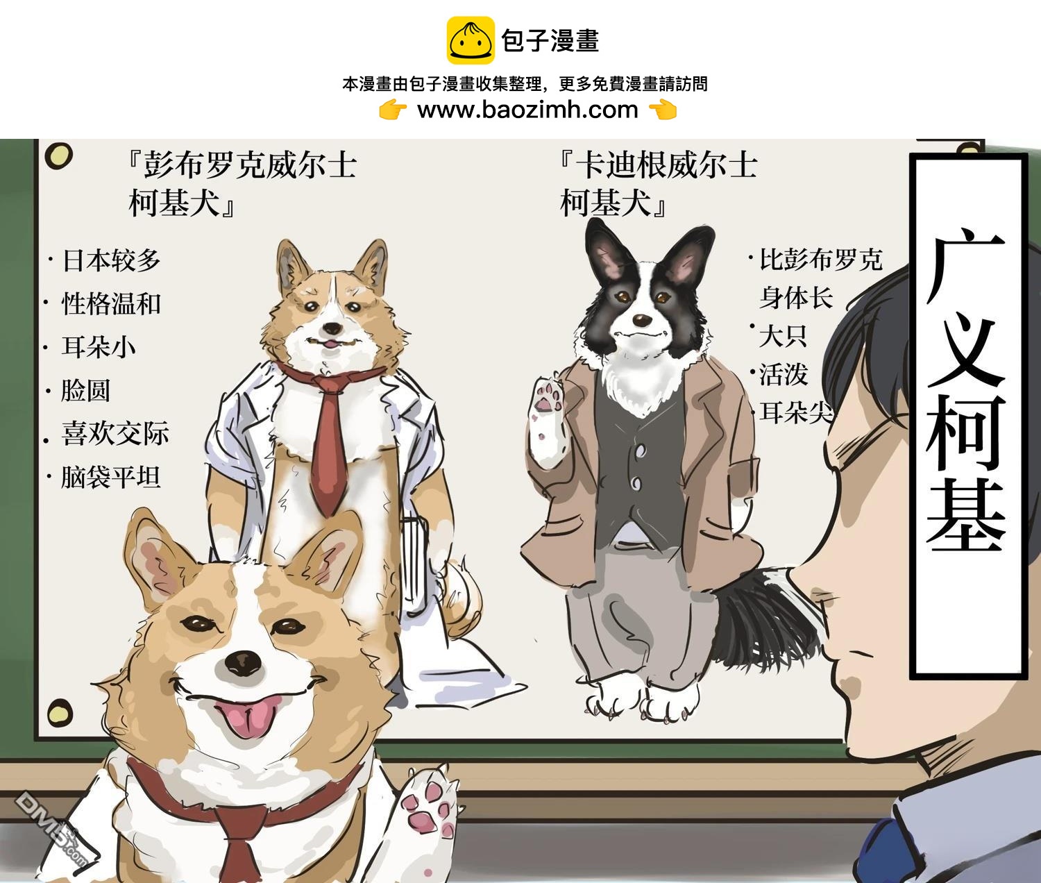 🍕カコミスル老师四格合集 柯基的课 第2页