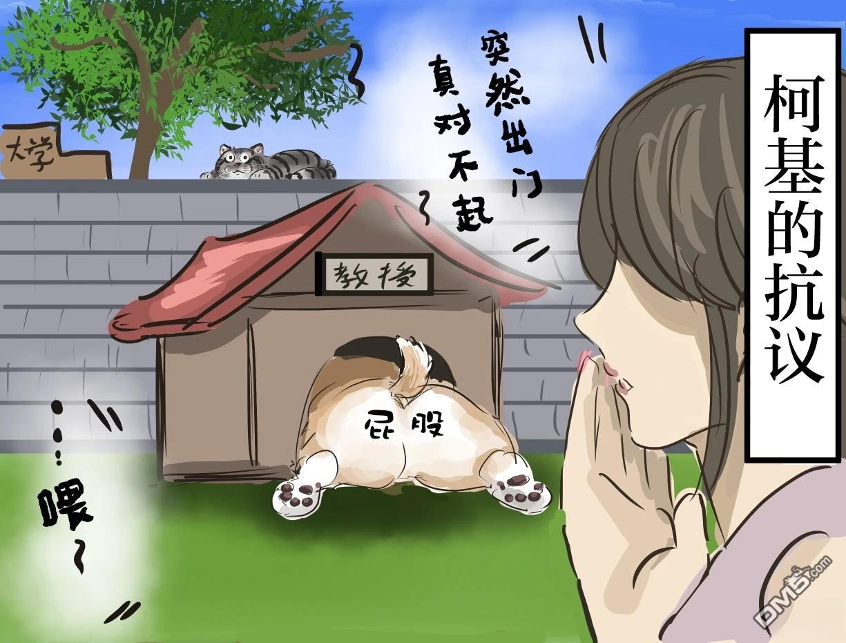 🍕カコミスル老师四格合集 柯基的课 第3页
