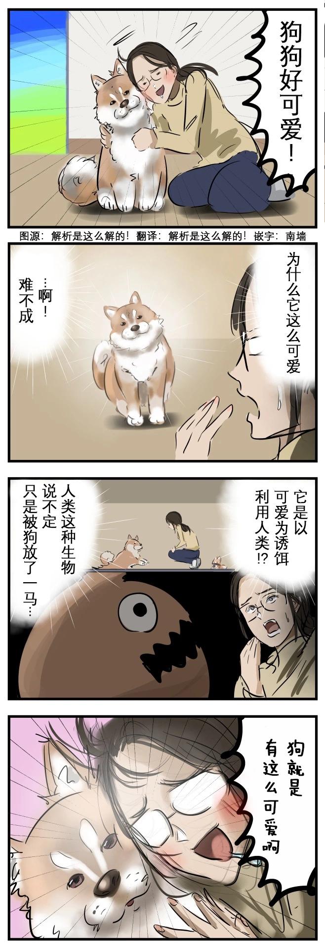 🍕カコミスル老师四格合集 今日小狗 第1页