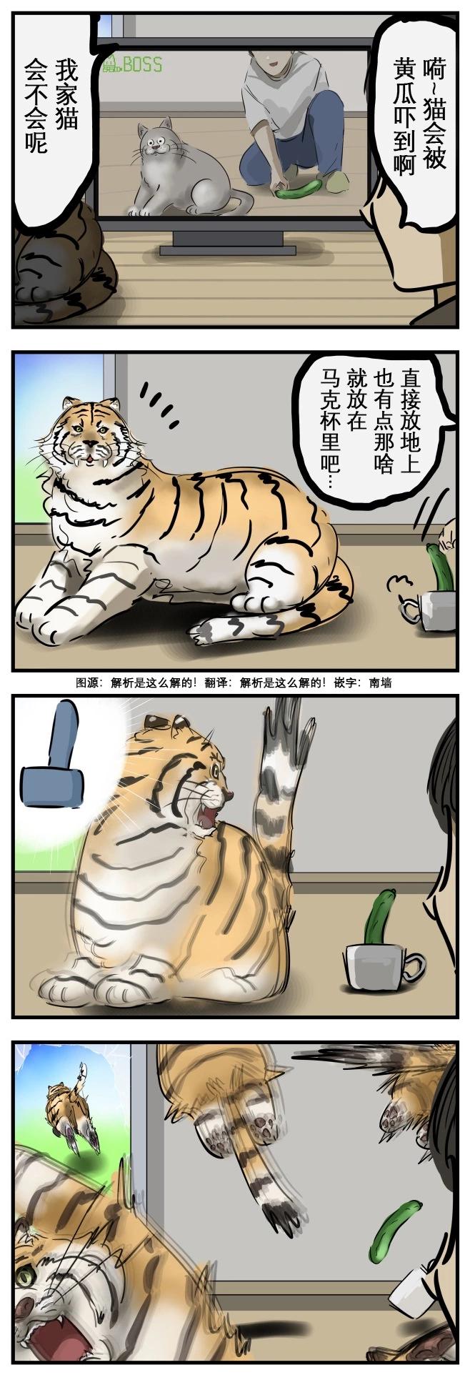 🍕カコミスル老师四格合集 受惊的猫2 第1页