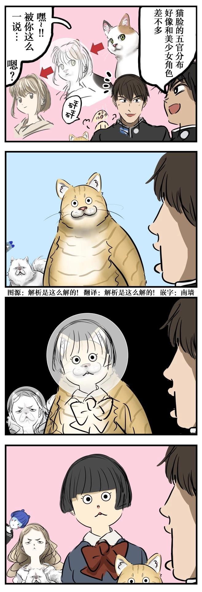 🍕カコミスル老师四格合集 由猫而来 第1页